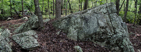 Rock Ridge Park Disc Golf Course, Pittsboro, NC