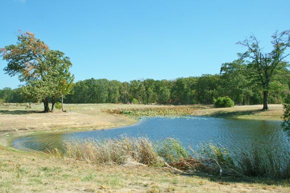 Creekside Selah, Mt. Vernon, TX