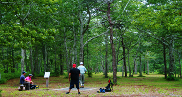 State Forest, Nantucket Island, MA