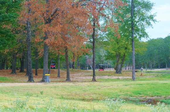 Lakeside Selah, Mt. Vernon, TX