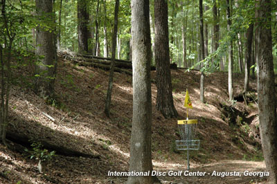 International Disc Golf Center Course